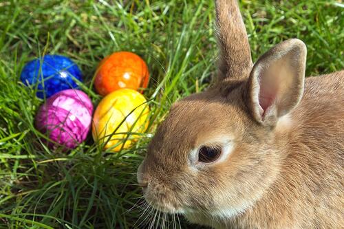 Schöne Osterferien!